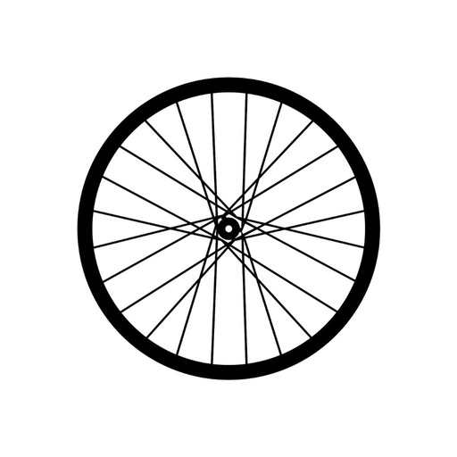 [WHLFB43EQUIPPED] Shimano front wheel (incl. Tire and disk)